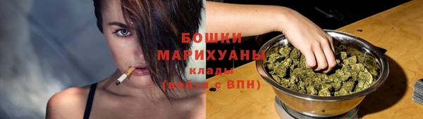 МДПВ Вяземский