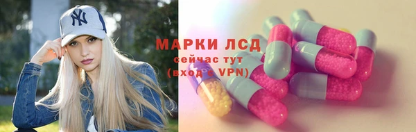 сатива Вязьма