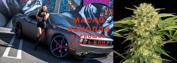 МДПВ Вяземский