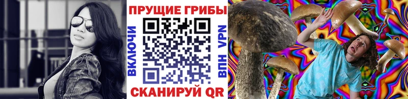 Псилоцибиновые грибы Psilocybine cubensis  Купить где  Высоковск 